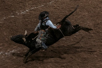 Good as Gold Roughstock Challenge